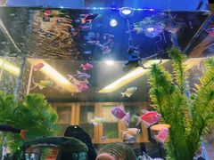 -意卡菲·欢乐聚会餐厅(华侨店)