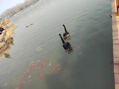 -河北省园博园