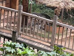 -昆明动物园
