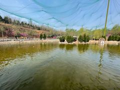 -五龙山野生动物王国