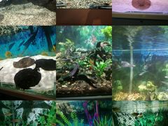 -绍兴梦享海洋公园