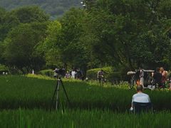 -八卦田遗址公园