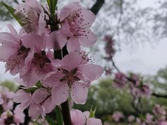 -颐和园