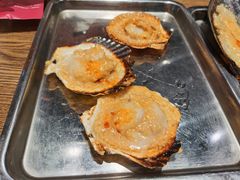 扇贝-潮庭·大连海鲜·炭火烧烤·扇贝王(大连店)