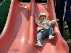 -糖心家族国际幼儿园·托育园(南开水上公园店)