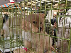 -北京华联购物中心(同成街店)