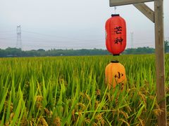 -嘉北郊野公园