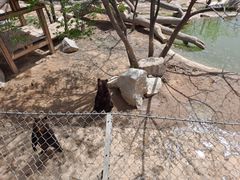 -石家庄市动物园