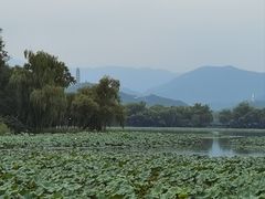 -颐和园-景明楼