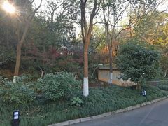 -西湖风景区-江洋畈生态公园