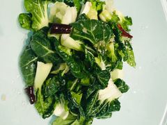 生炝木耳菜-九十九顶毡房(阜石路店)