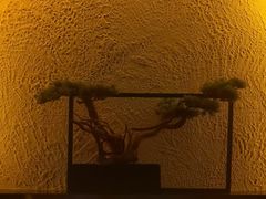 -江南足纪·影院足道·轻奢SPA(笋岗HALO广场店)