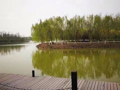 -塘沽森林公园