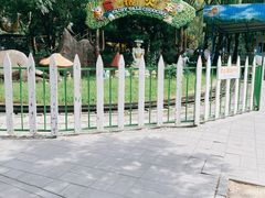 -朝阳公园游乐园