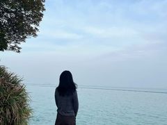 -贡湖湾湿地公园
