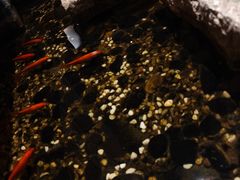 -邈墨茶馆(凤起路店)