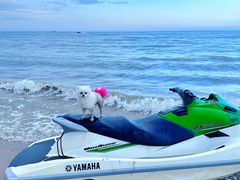 -东戴河风景区-止锚湾