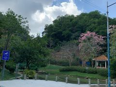 -火炉山森林公园