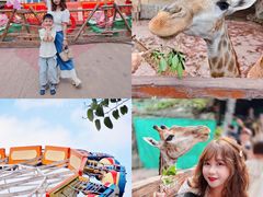 -长鹿旅游休博园