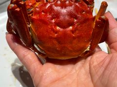 河蟹-鼎香缘海鲜自助火锅烤肉(锦辉购物广场店)