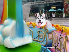 -大族广场Mall&More