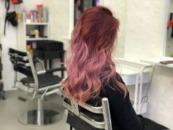 点击看大图 -SALON V