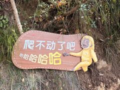 -白帝城·瞿塘峡景区
