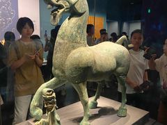 -广西壮族自治区博物馆