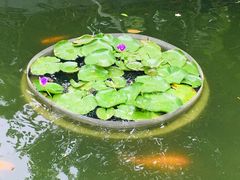 -厦门日月谷温泉渡假村