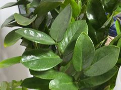 -静沐人生养生馆(佳宁娜分店)