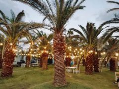 -Cafe Aewol Monsant