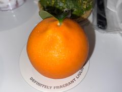 -TD66高山铁皮石斛养生茶饮