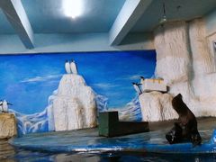 -泉州海丝野生动物世界