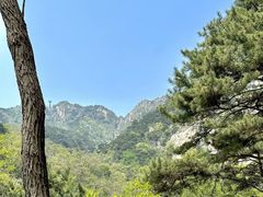 -泰山风景名胜区