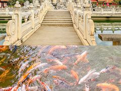 -云南民族大观园