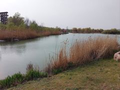 -淇河国家湿地公园