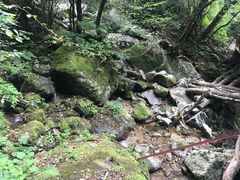 -青峰峡国家森林公园