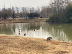 -西安浐灞国家湿地公园