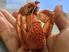 -鱼市酒店(威海水产批发市场店)