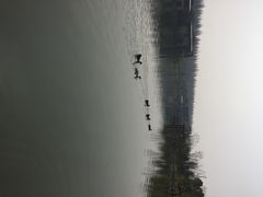 怡沁园度假村-上海怡沁园度假酒店