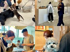 -帕帕拉兹宠物(亚洲旗舰店)