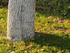 -海底捞火锅(长沙华创国际广场店)