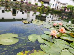 -东梓关景区村庄