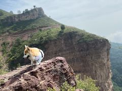 -雅安楠水阁温泉酒店