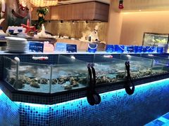 水产区-小天鹅戴斯酒店鲸鲨百汇创作料理