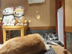 -大江户·温泉洗浴(浑南店)