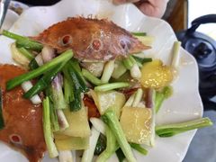 -顺德公美食(西乡店)