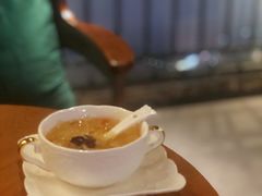 -梵猫·新养生(湛江鼎盛店)