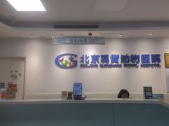 -北京观赏动物医院·24小时大型综合·猫专科·异宠专科