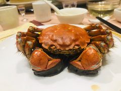 -王宝和酒家(黄浦店)